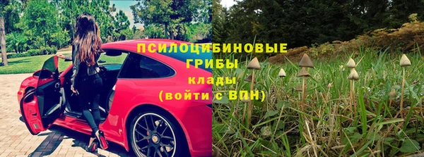 ПСИЛОЦИБИНОВЫЕ ГРИБЫ Абаза