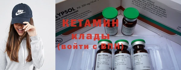 ПСИЛОЦИБИНОВЫЕ ГРИБЫ Абаза