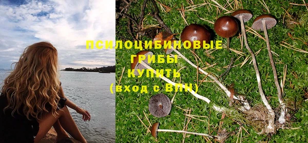 ПСИЛОЦИБИНОВЫЕ ГРИБЫ Абаза