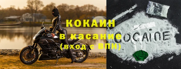 ПСИЛОЦИБИНОВЫЕ ГРИБЫ Абаза