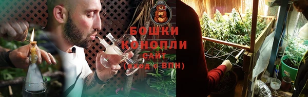 ПСИЛОЦИБИНОВЫЕ ГРИБЫ Абаза